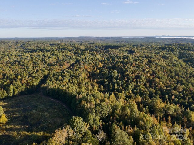 0 Wilkinsville Hwy, Gaffney, SC 29340 - photo 4
