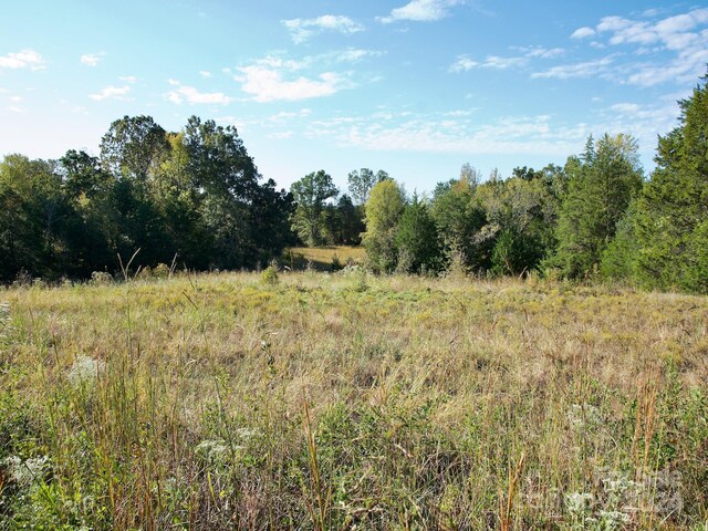 0 Wilkinsville Hwy, Gaffney, SC 29340 - photo 17