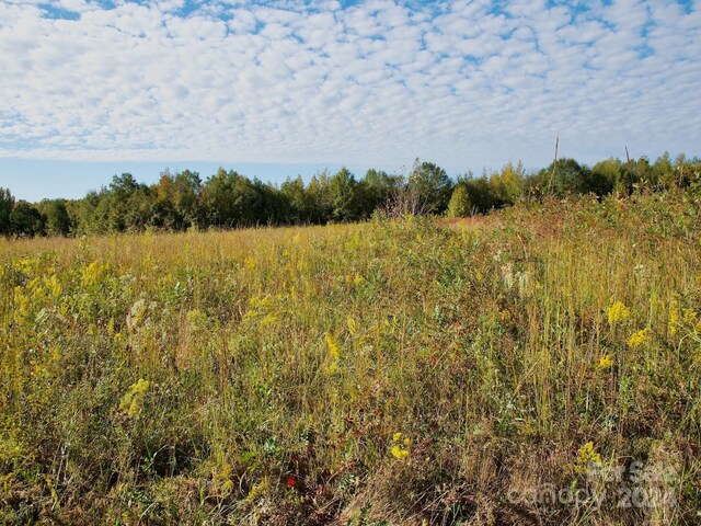 0 Wilkinsville Hwy, Gaffney, SC 29340 - photo 21