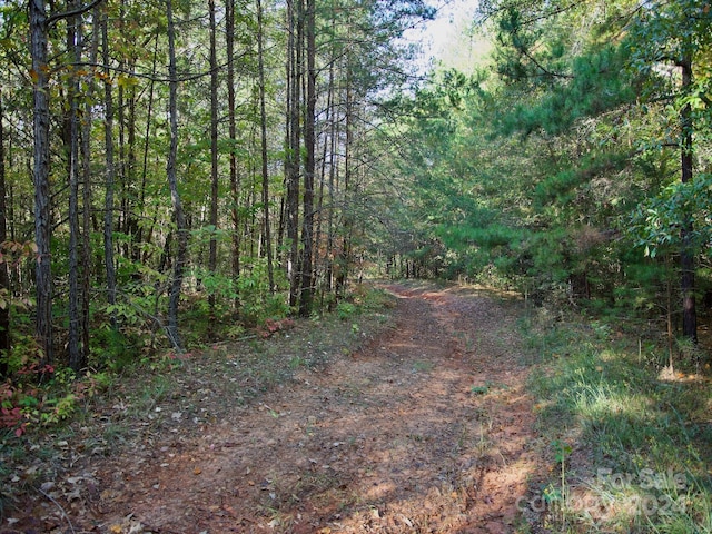 0 Wilkinsville Hwy, Gaffney, SC 29340 - photo 23
