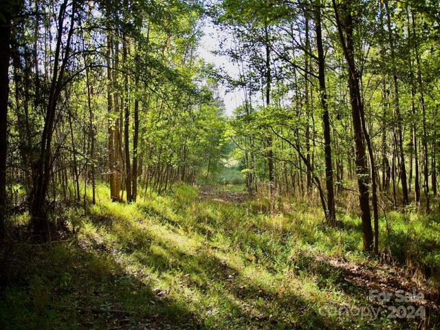 0 Wilkinsville Hwy, Gaffney, SC 29340 - photo 24