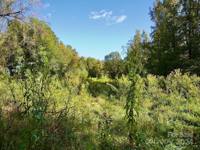 0 Wilkinsville Hwy, Gaffney, SC 29340 - photo 27