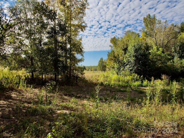 0 Wilkinsville Hwy, Gaffney, SC 29340 - photo 30