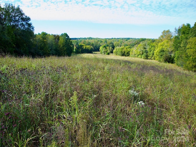 0 Wilkinsville Hwy, Gaffney, SC 29340 - photo 32