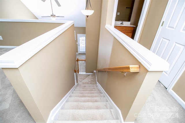 stairway featuring ceiling fan and carpet floors