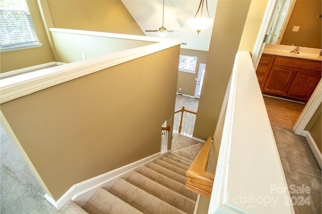 staircase featuring ceiling fan, carpet floors, sink, and high vaulted ceiling