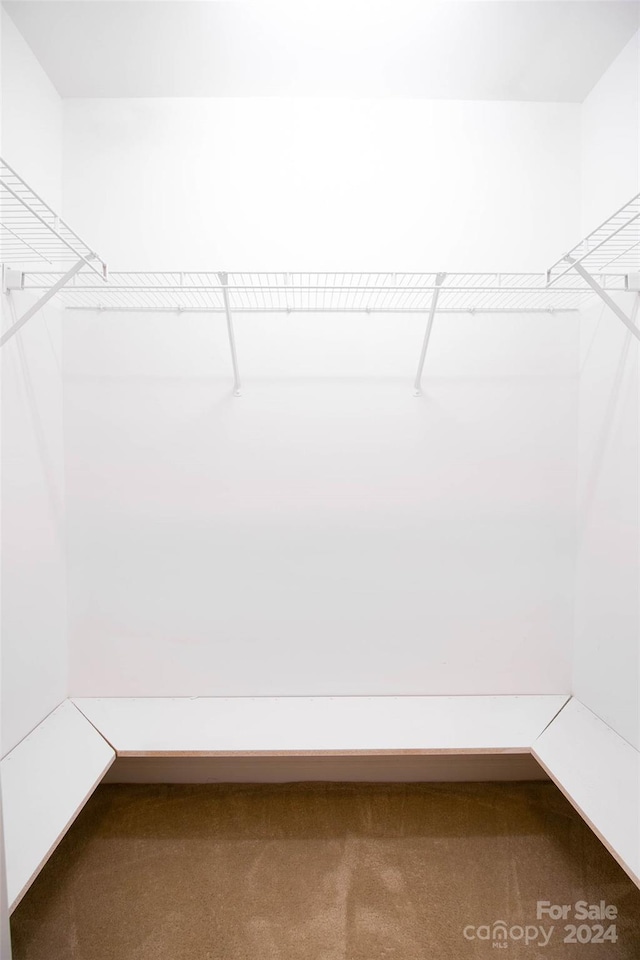 spacious closet with carpet flooring