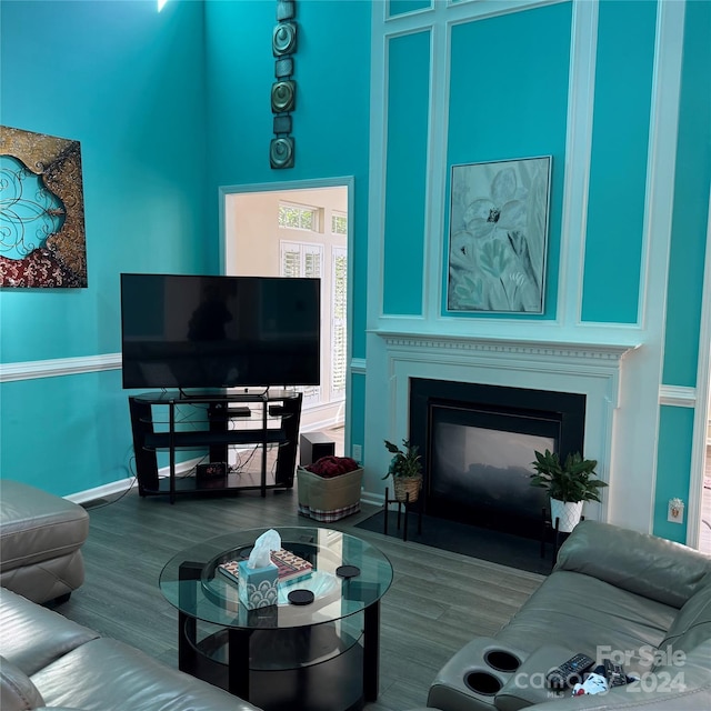 living room featuring a towering ceiling and hardwood / wood-style flooring