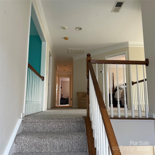 staircase featuring carpet flooring and crown molding