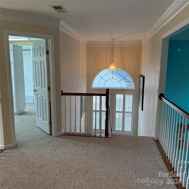 carpeted entrance foyer with ornamental molding