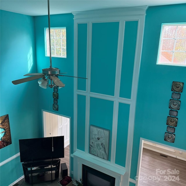 room details with ceiling fan