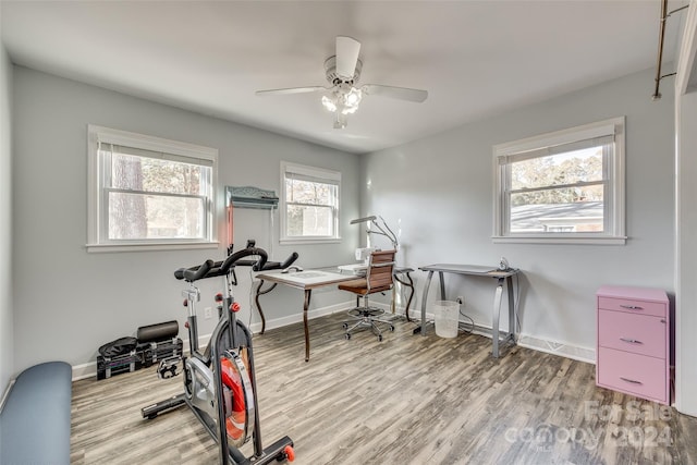 workout area with light wood-type flooring, a wealth of natural light, and ceiling fan