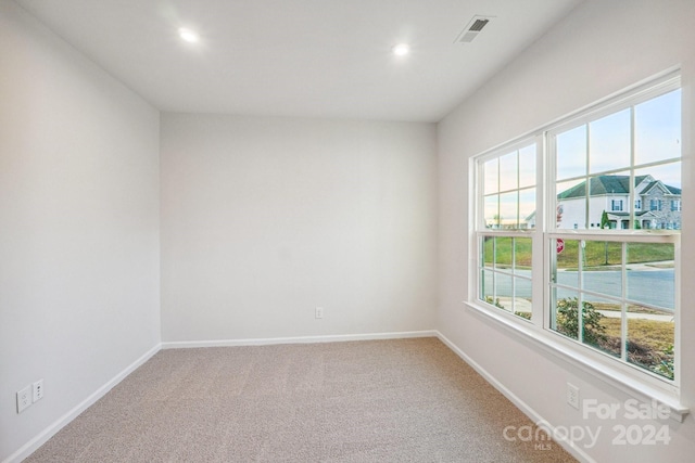 spare room with carpet flooring and a wealth of natural light