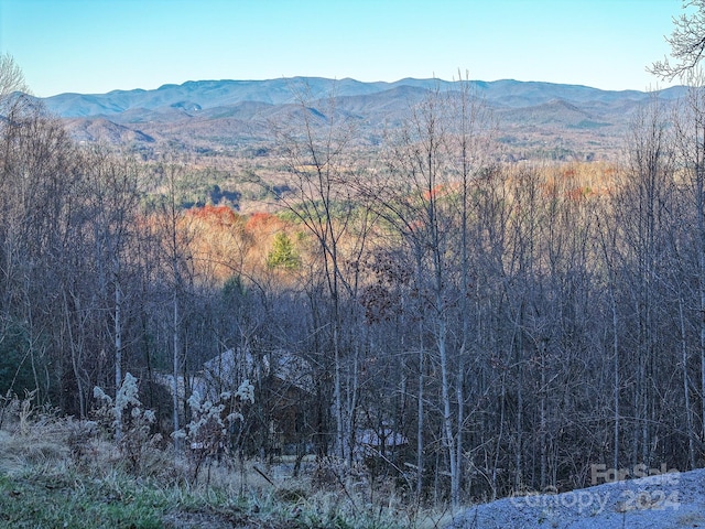 221 Coopers Dr Unit 27R, Hendersonville, NC 28739