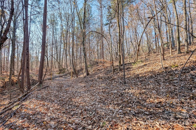 0 Canterbury Rd, Kings Mountain, NC 28086 - photo 8