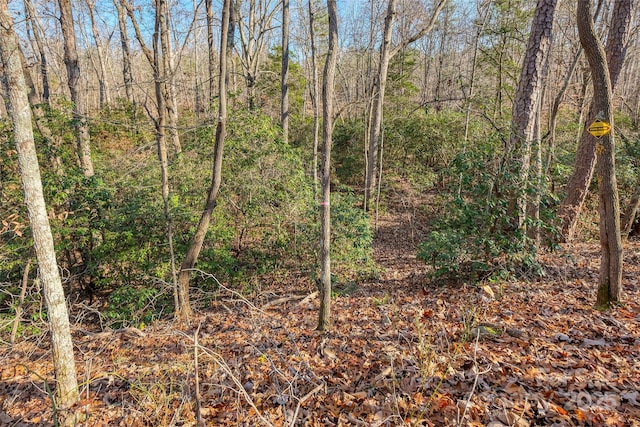 0 Canterbury Rd, Kings Mountain, NC 28086 - photo 14
