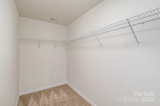 walk in closet with carpet flooring