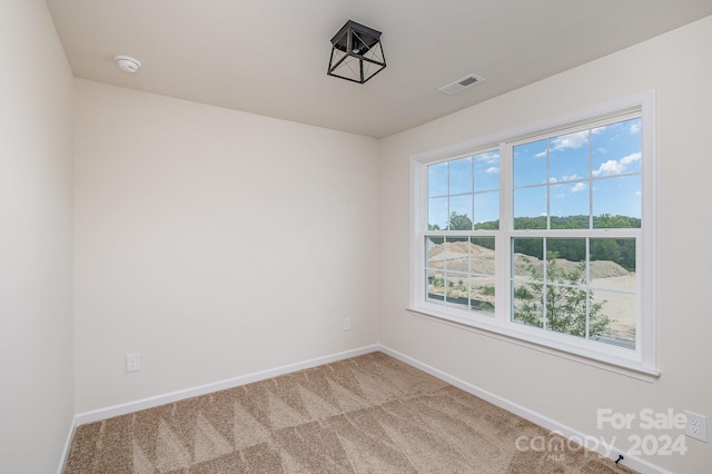 carpeted empty room featuring a wealth of natural light