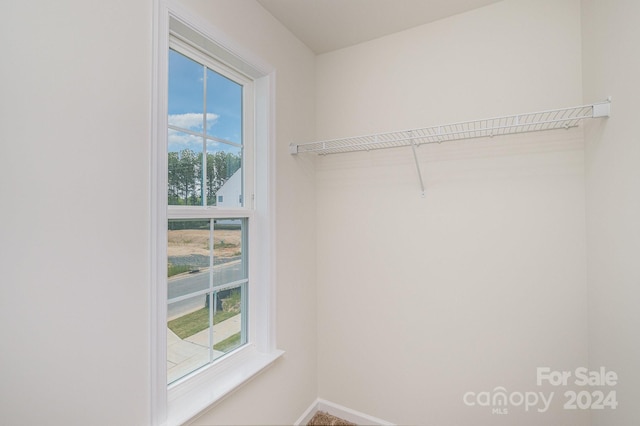 view of spacious closet