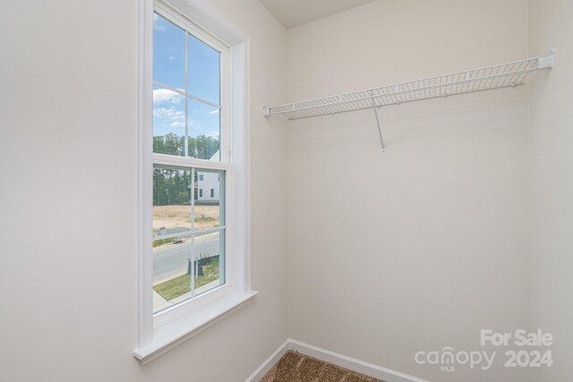 walk in closet featuring carpet