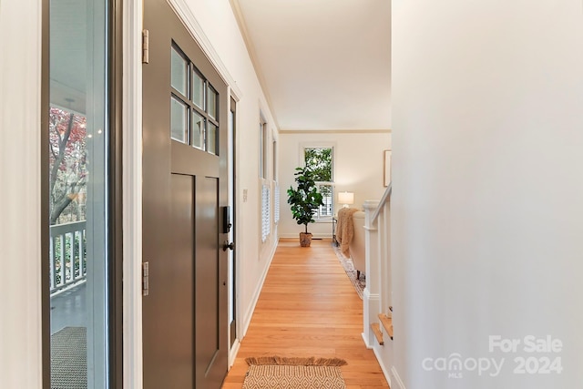 corridor featuring light hardwood / wood-style flooring and ornamental molding