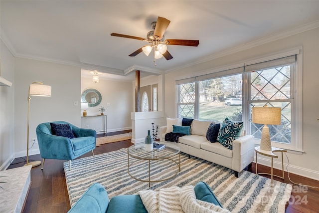 living room featuring ceiling fan, dark hardwood / wood-style flooring, and crown molding