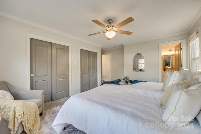 carpeted bedroom featuring ceiling fan, ornamental molding, and multiple closets