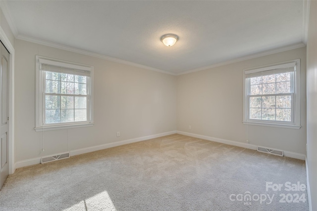 carpeted empty room with crown molding