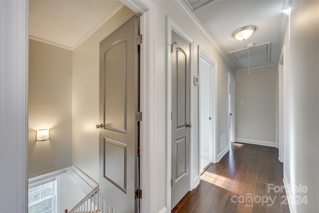 hall featuring crown molding, dark wood-type flooring, and a textured ceiling