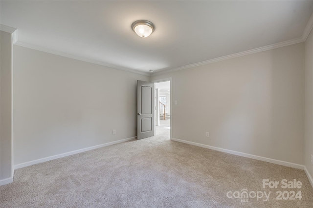 carpeted spare room featuring ornamental molding