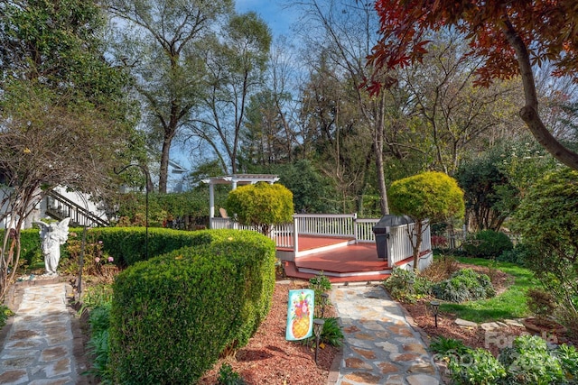 view of yard featuring a deck