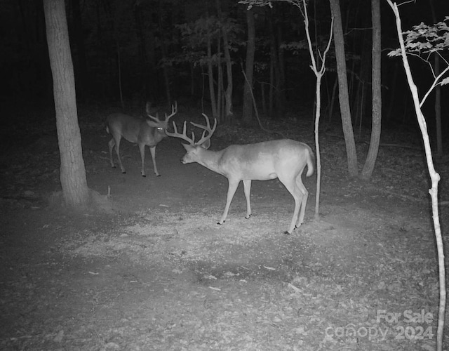 000 Canterbury Rd, Kings Mountain, NC 28086