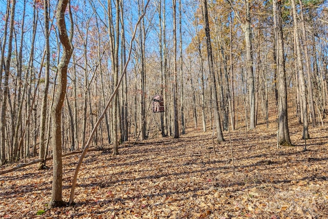 000 Canterbury Rd, Kings Mountain, NC 28086