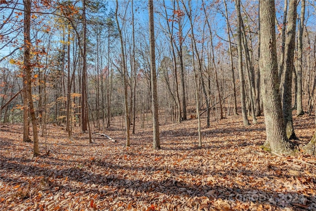 000 Canterbury Rd, Kings Mountain, NC 28086