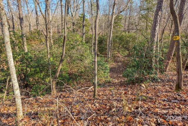 000 Canterbury Rd, Kings Mountain, NC 28086