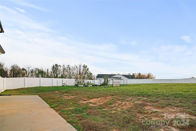 view of yard featuring a patio area