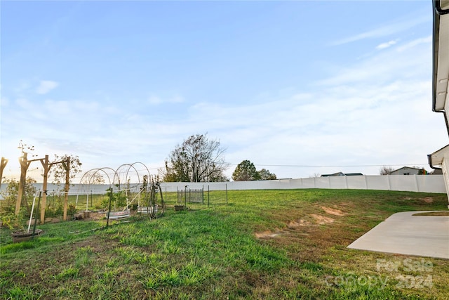 view of yard featuring a patio