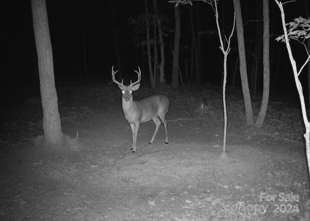 0000 Canterbury Rd, Kings Mountain, NC 28086 - photo 3
