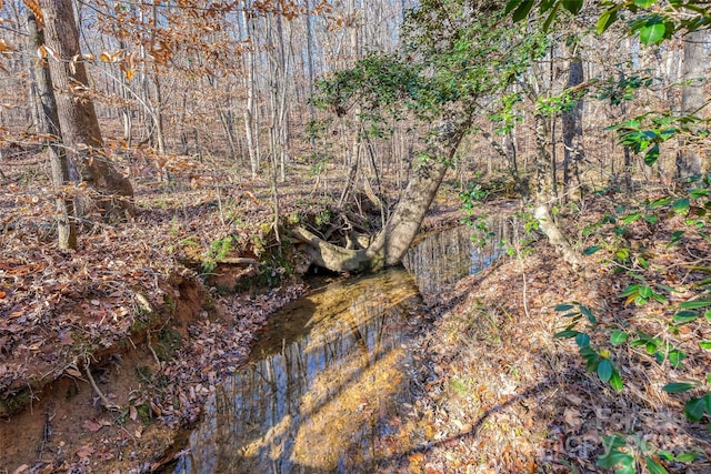 0000 Canterbury Rd, Kings Mountain, NC 28086 - photo 16