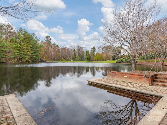 34 Lake Pointe Cir, Hendersonville, NC 28792 - photo 21