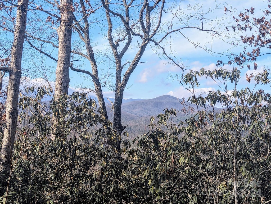 TBD Top Oaks Ln, Pisgah Forest, NC 28768 - photo 1