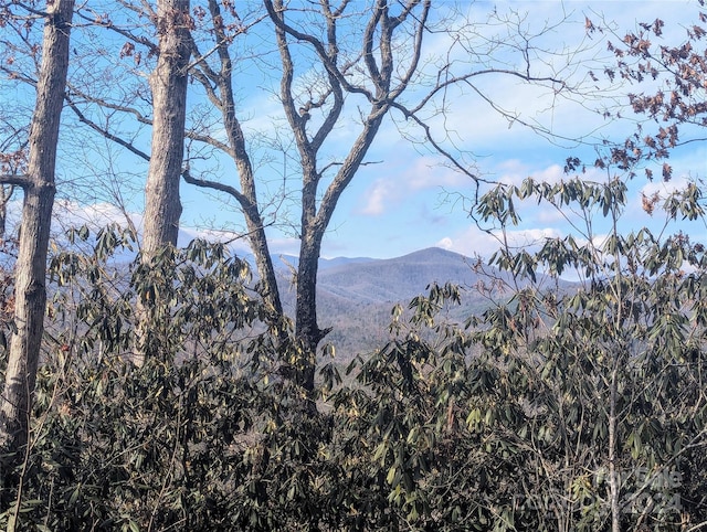 TBD Top Oaks Ln, Pisgah Forest, NC 28768 - photo 1