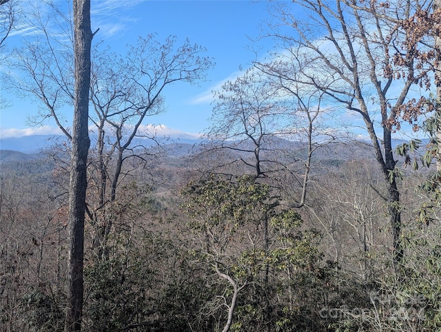 Listing photo 3 for TBD Top Oaks Ln, Pisgah Forest NC 28768