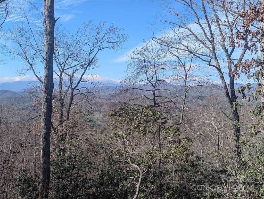 TBD Top Oaks Ln, Pisgah Forest, NC 28768 - photo 3