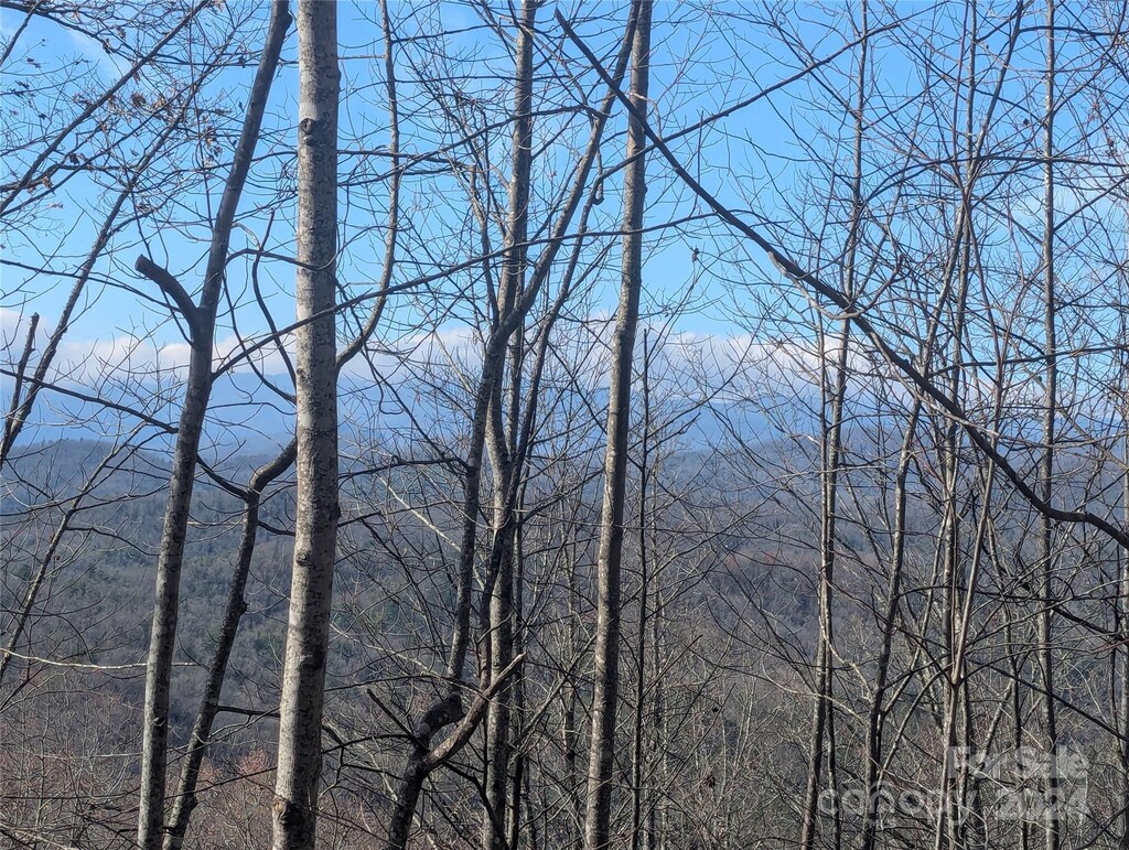 TBD Top Oaks Ln, Pisgah Forest, NC 28768 - photo 4