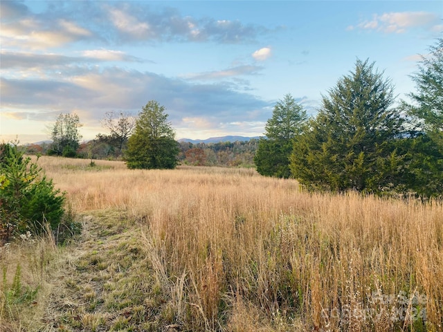 view of landscape featuring a rural view