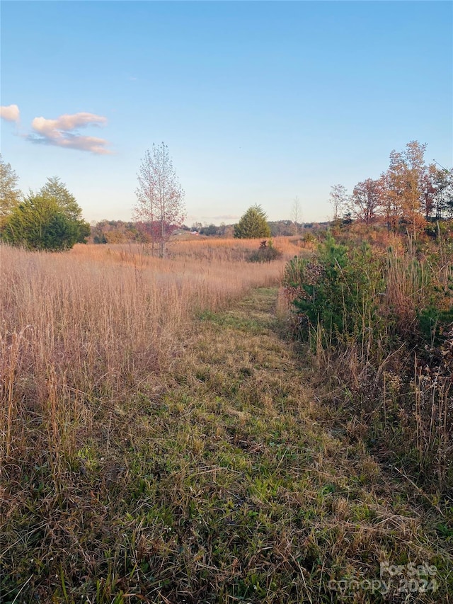 view of local wilderness featuring a rural view