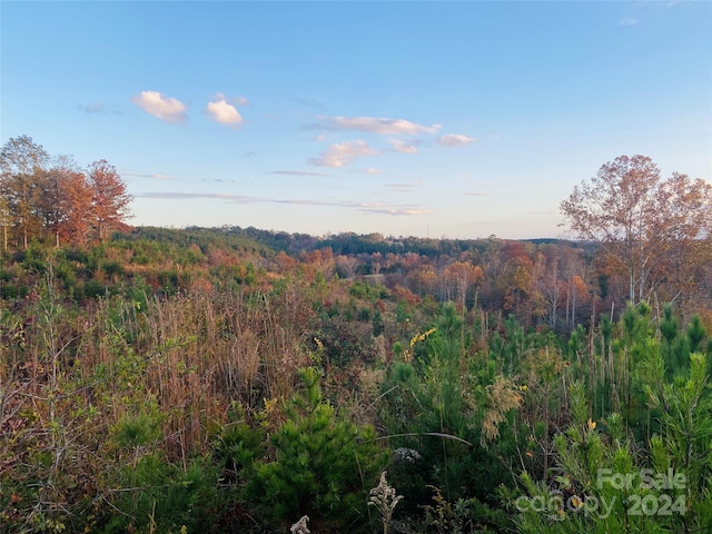 view of landscape