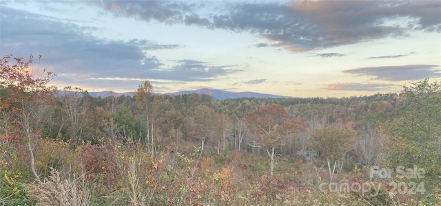 364 Moriah Church Rd, Casar, NC 28020 - view of mountain backdrop featuring a heavily wooded area