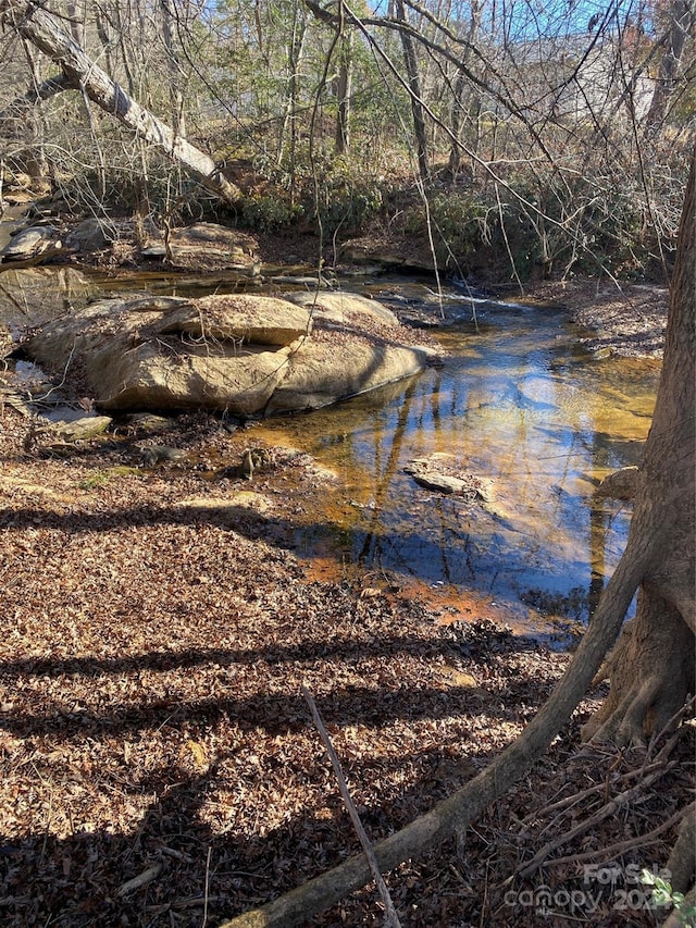 view of local wilderness